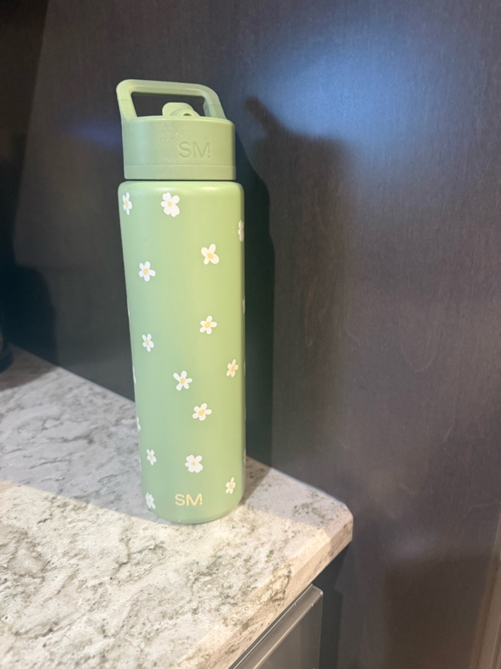 Simply Modern Sage Green Daisy Stainless Bottle